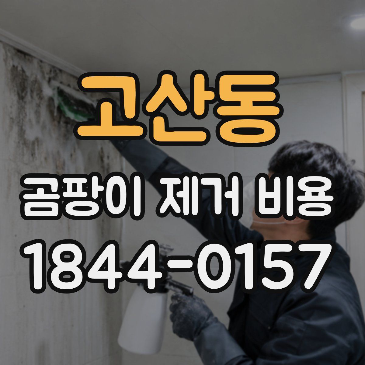 고산동 곰팡이 제거 비용
