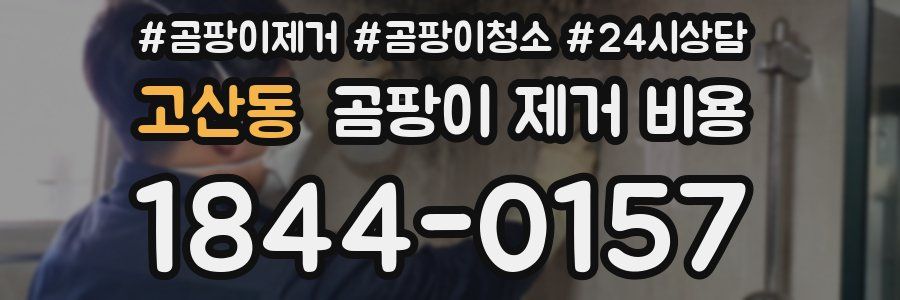 고산동 곰팡이 제거 비용