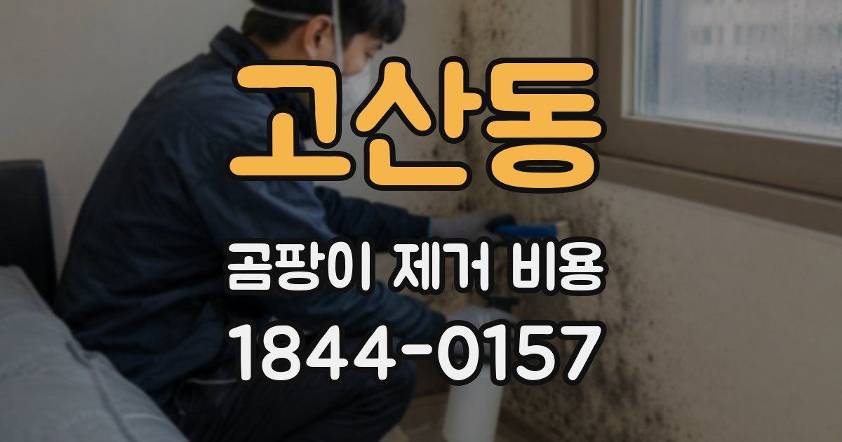 고산동 곰팡이 제거 비용