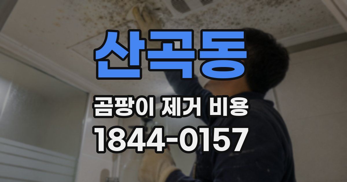 산곡동 곰팡이 제거 비용