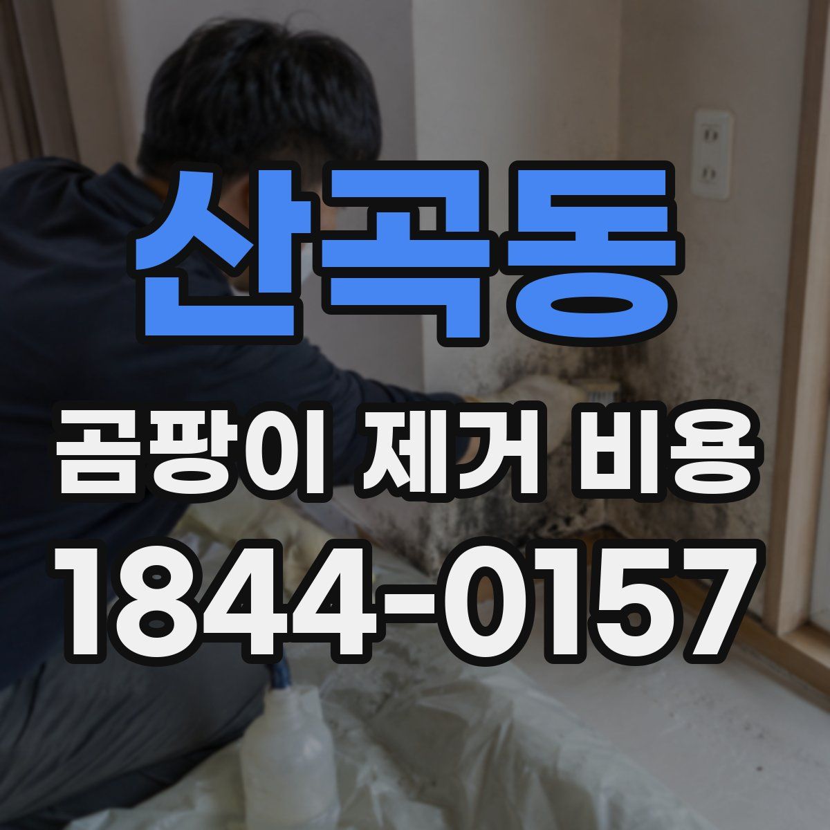 산곡동 곰팡이 제거 비용