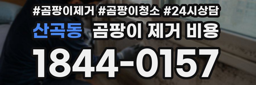 산곡동 곰팡이 제거 비용
