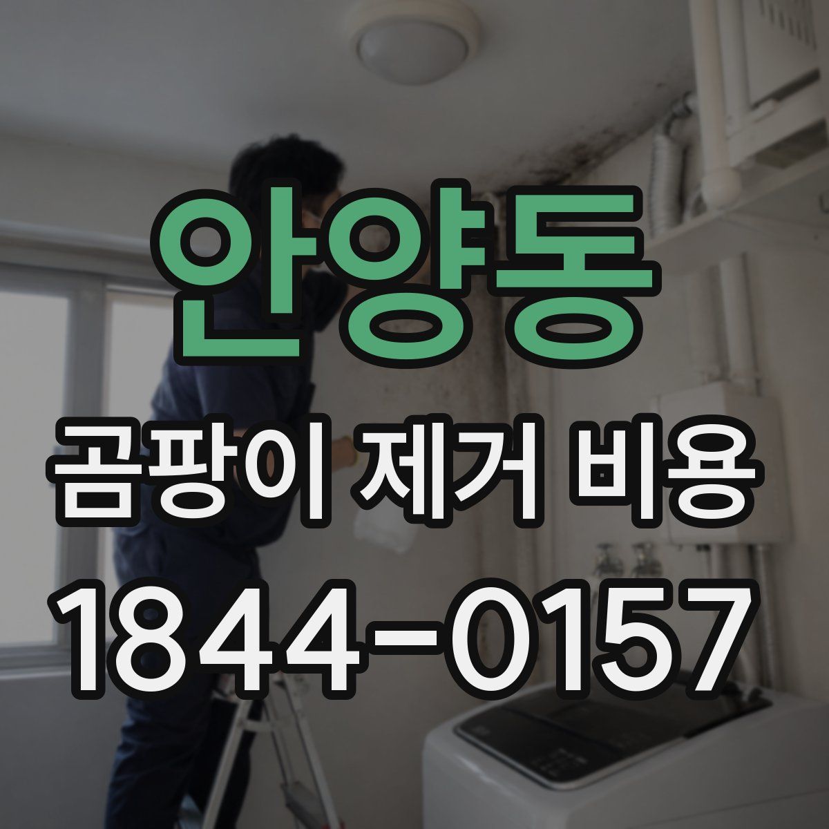 안양동 곰팡이 제거 비용