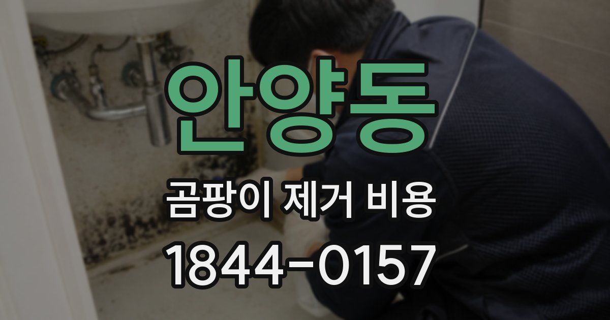 안양동 곰팡이 제거 비용