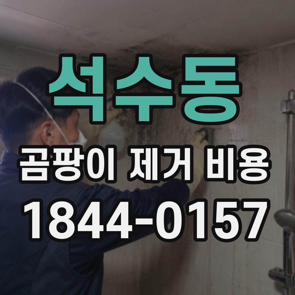 석수동 곰팡이 제거 비용 업체 비교할 때 시공 후 보증 규정 확인