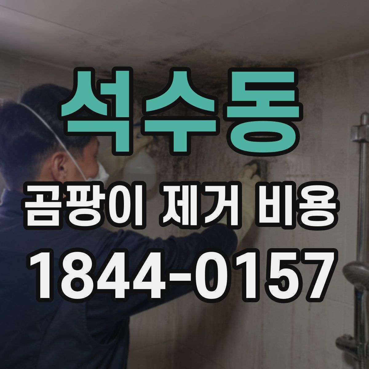 석수동 곰팡이 제거 비용