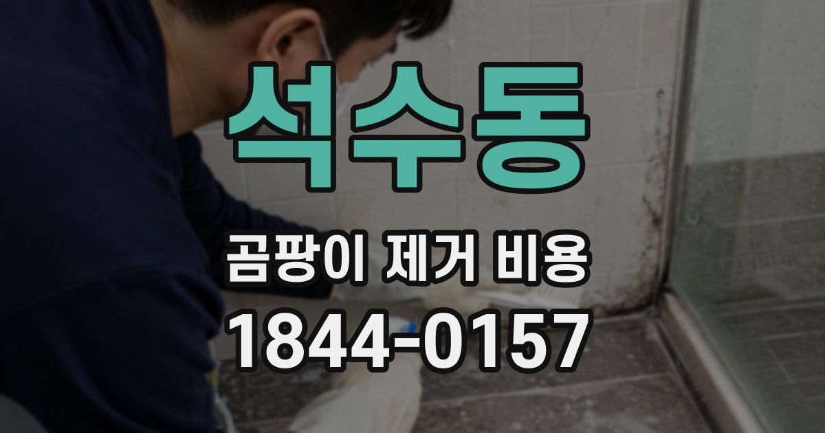 석수동 곰팡이 제거 비용