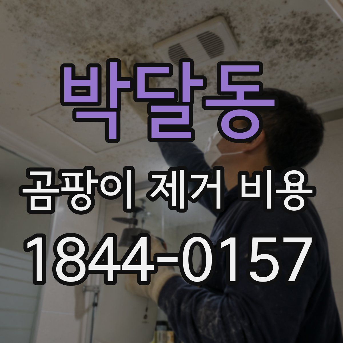 박달동 곰팡이 제거 비용