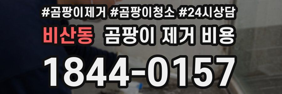 비산동 곰팡이 제거 비용