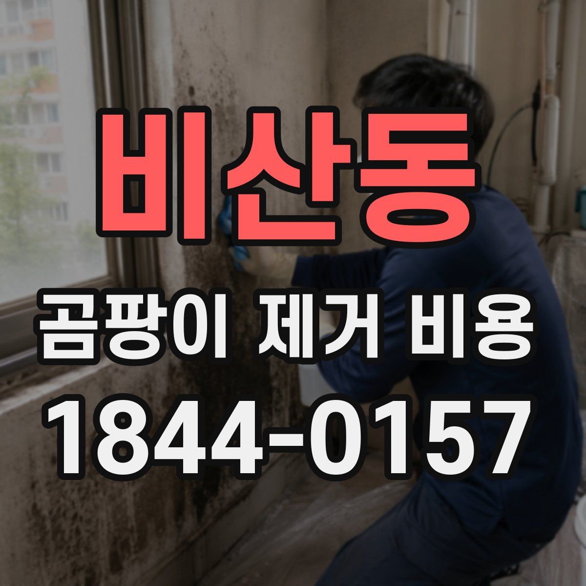 비산동 곰팡이 제거 비용