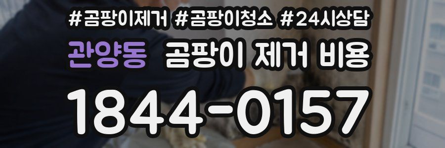 관양동 곰팡이 제거 비용