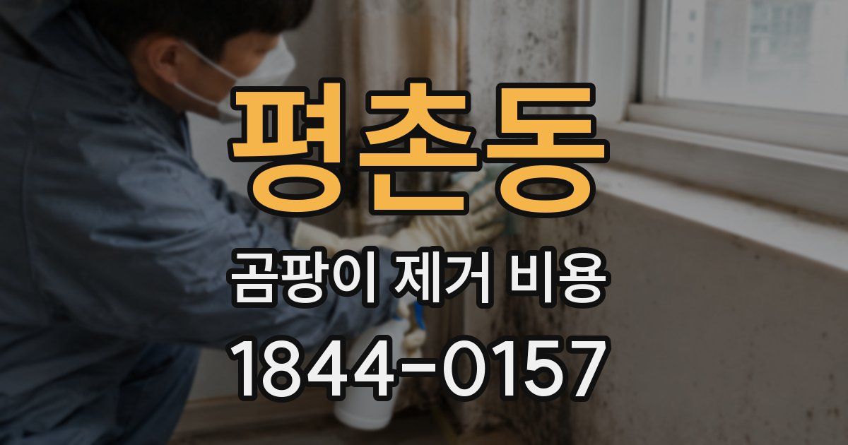 평촌동 곰팡이 제거 비용