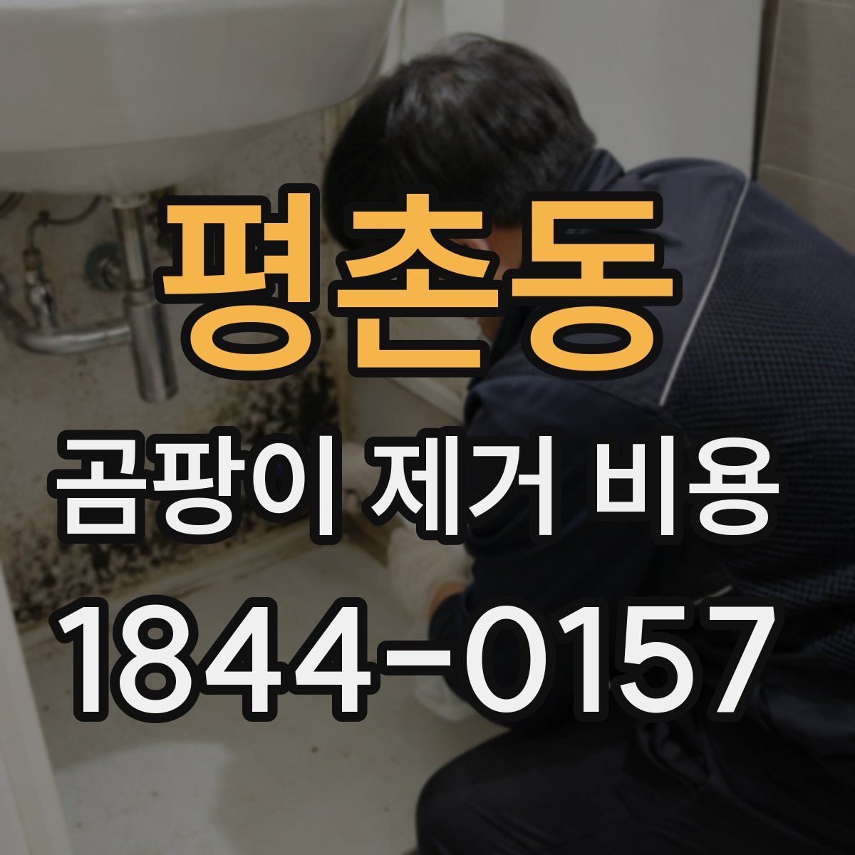 평촌동 곰팡이 제거 비용