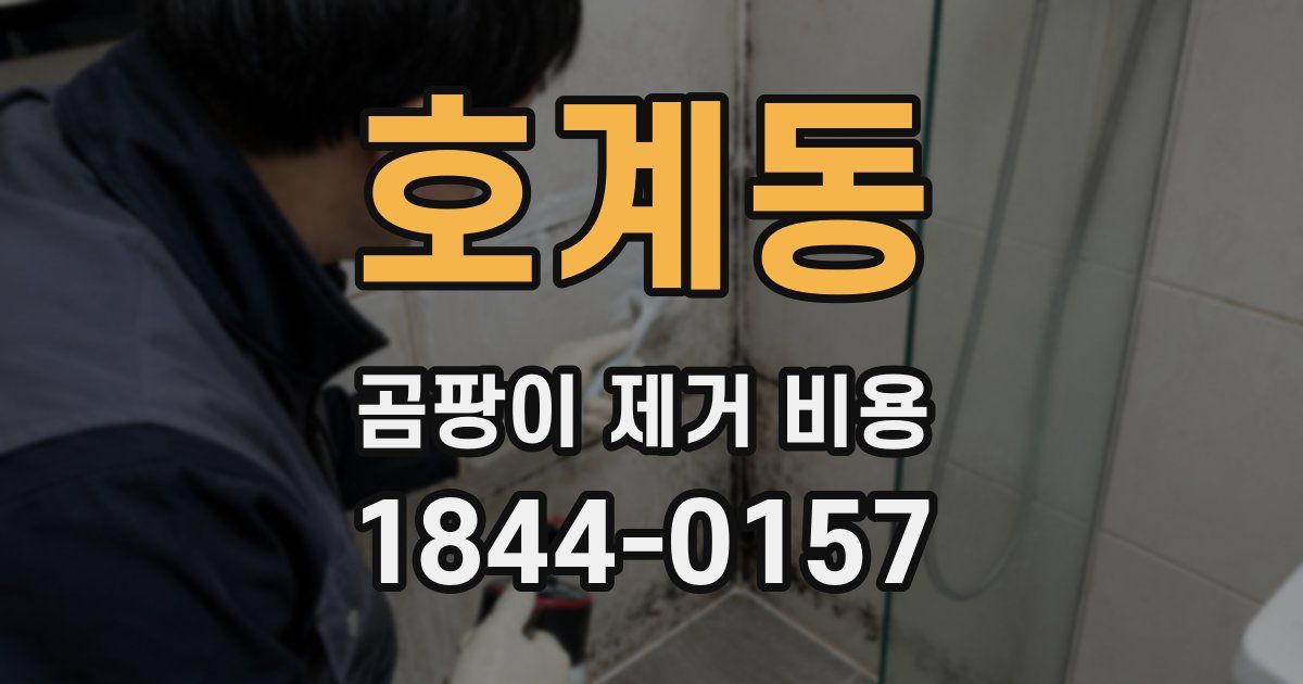 호계동 곰팡이 제거 비용