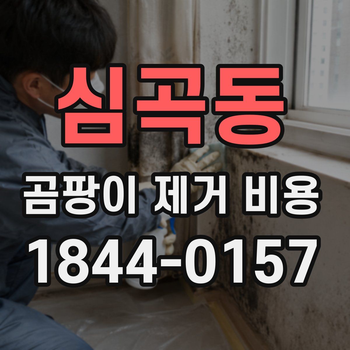 심곡동 곰팡이 제거 비용