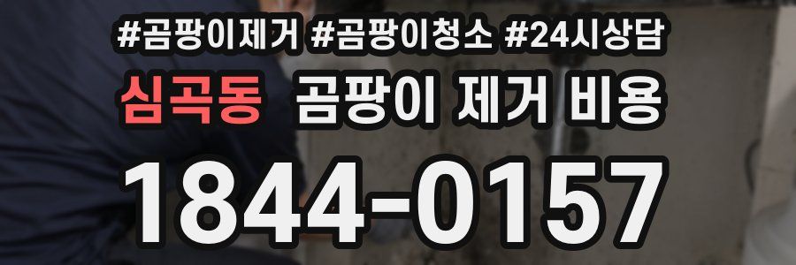 심곡동 곰팡이 제거 비용