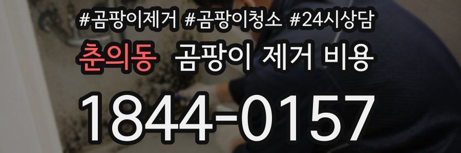 춘의동 곰팡이 제거 비용