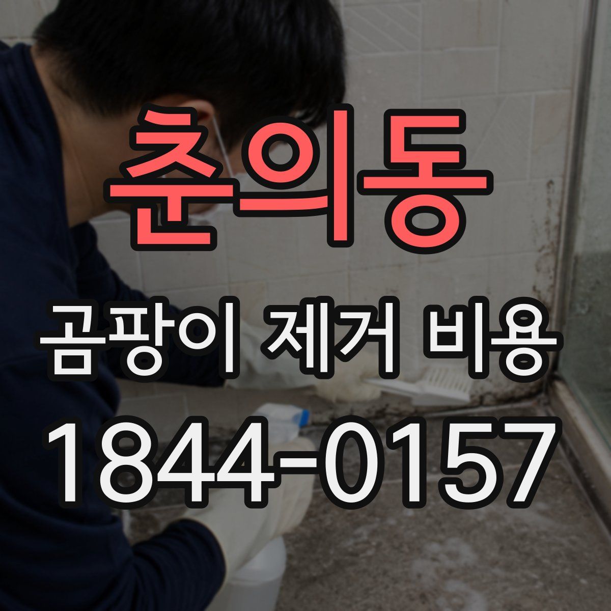 춘의동 곰팡이 제거 비용