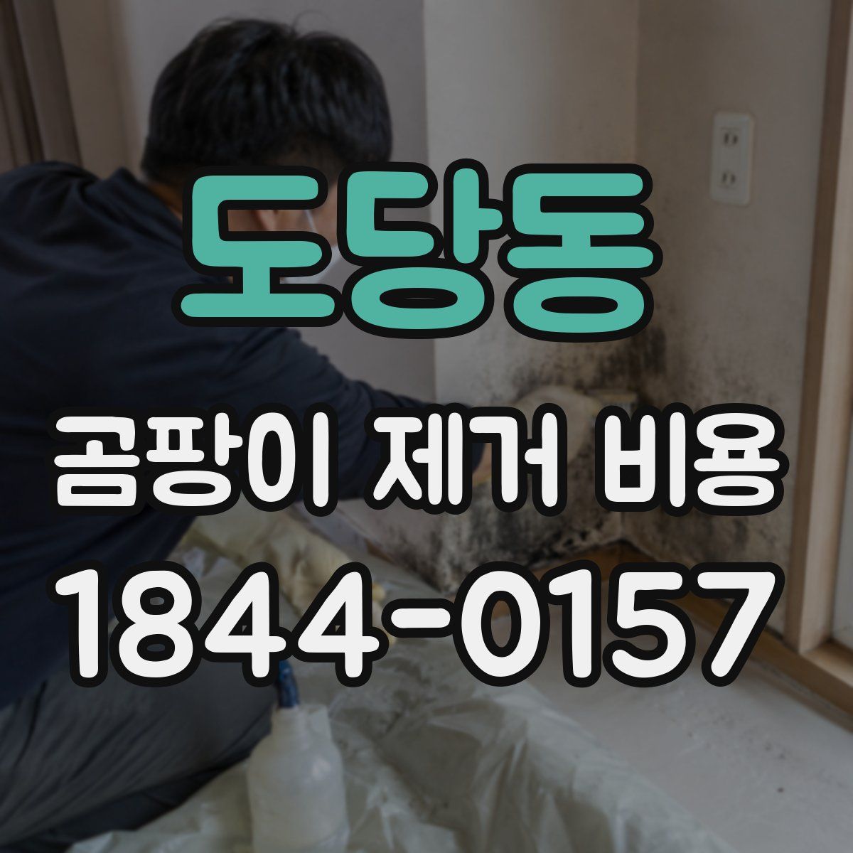도당동 곰팡이 제거 비용