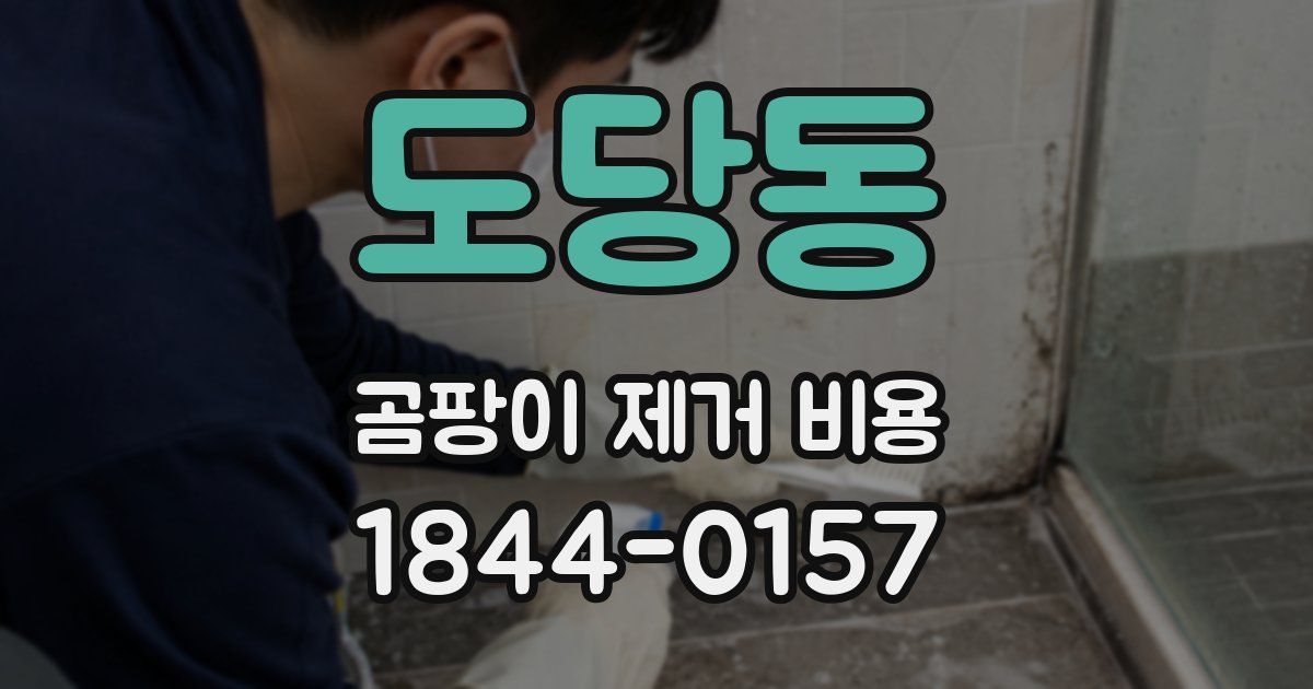 도당동 곰팡이 제거 비용