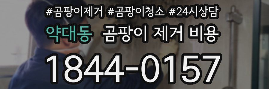 약대동 곰팡이 제거 비용