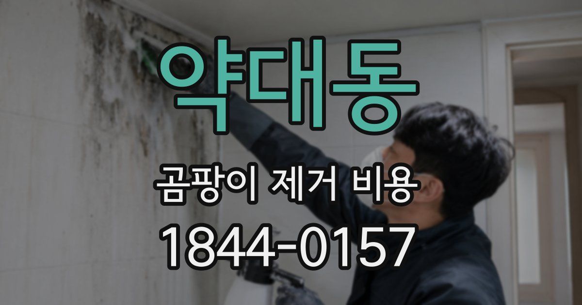 약대동 곰팡이 제거 비용