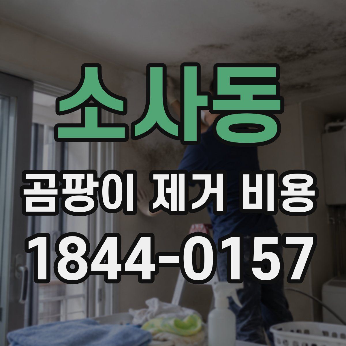 소사동 곰팡이 제거 비용