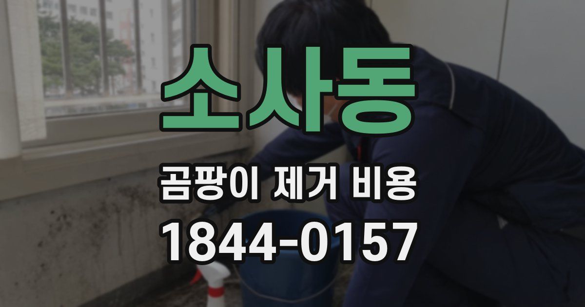 소사동 곰팡이 제거 비용