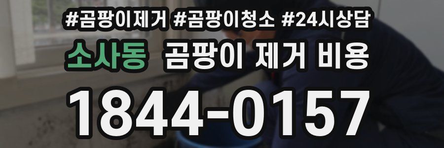 소사동 곰팡이 제거 비용