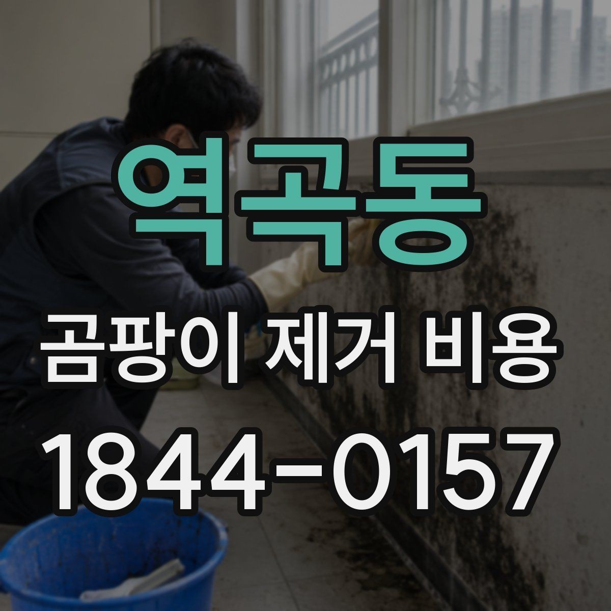 역곡동 곰팡이 제거 비용 상가 내부 오염과 세대별 주거공간 차이