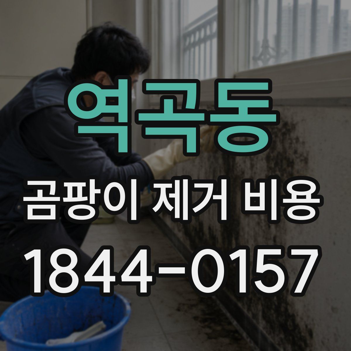 역곡동 곰팡이 제거 비용