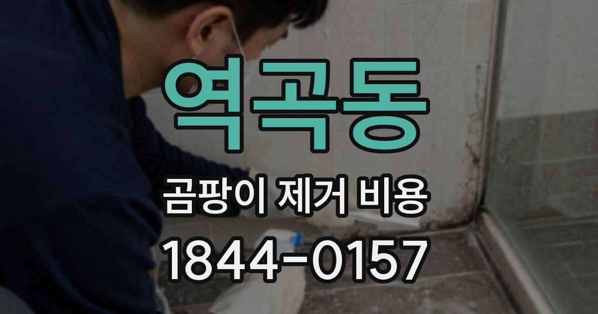 역곡동 곰팡이 제거 비용