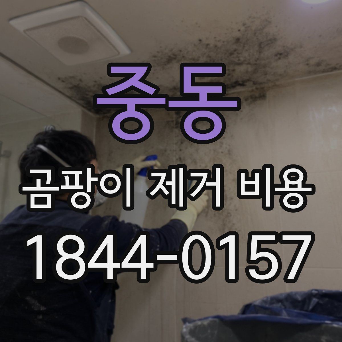 중동 곰팡이 제거 비용 실리콘 마감 상태에 따른 추가 작업