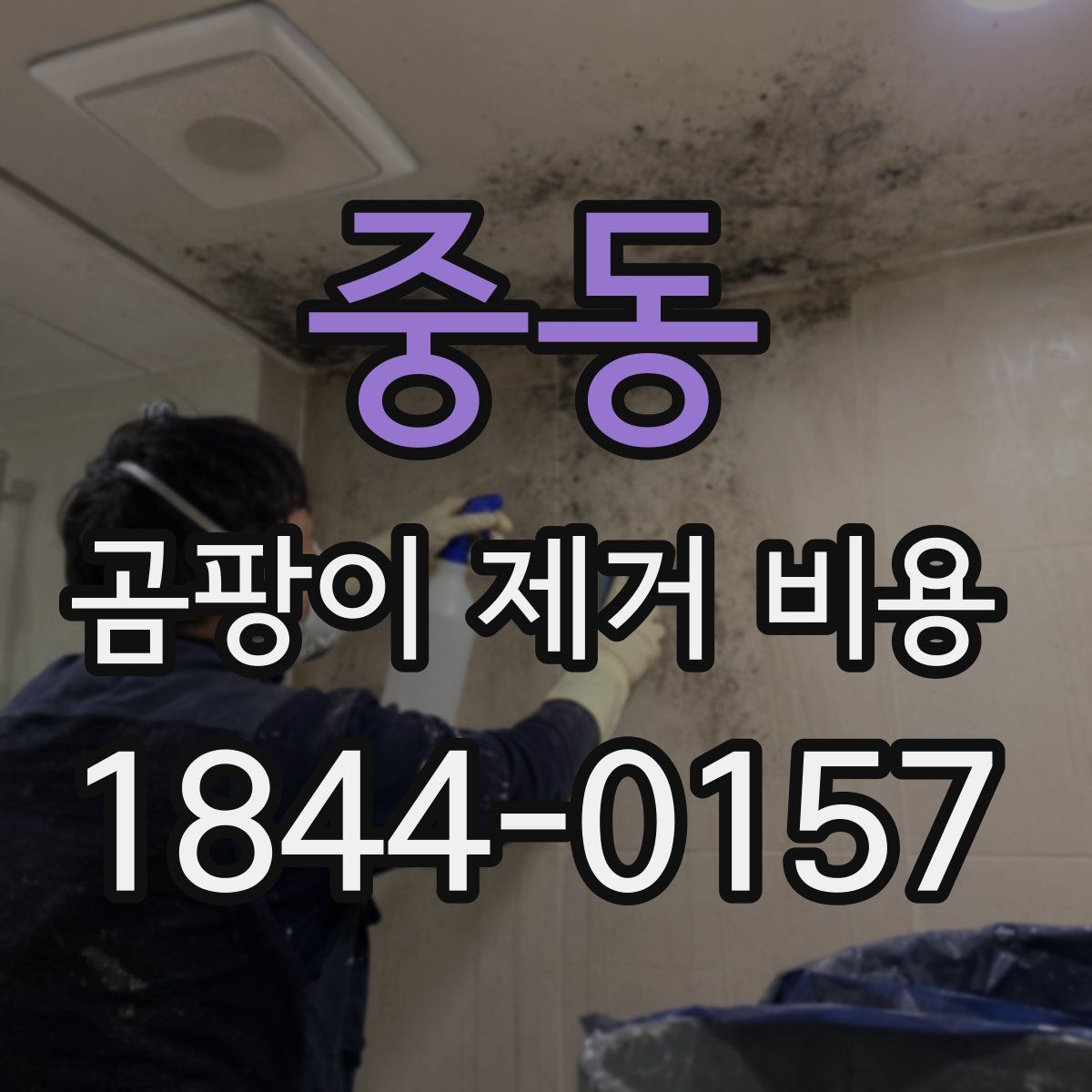 중동 곰팡이 제거 비용