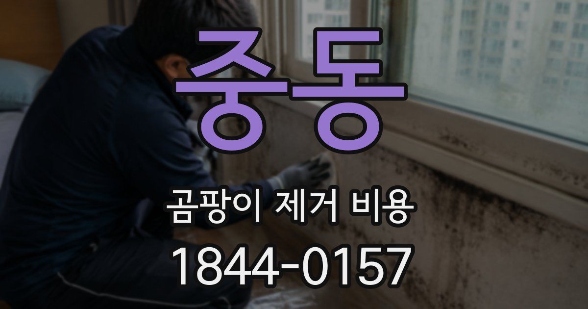 중동 곰팡이 제거 비용
