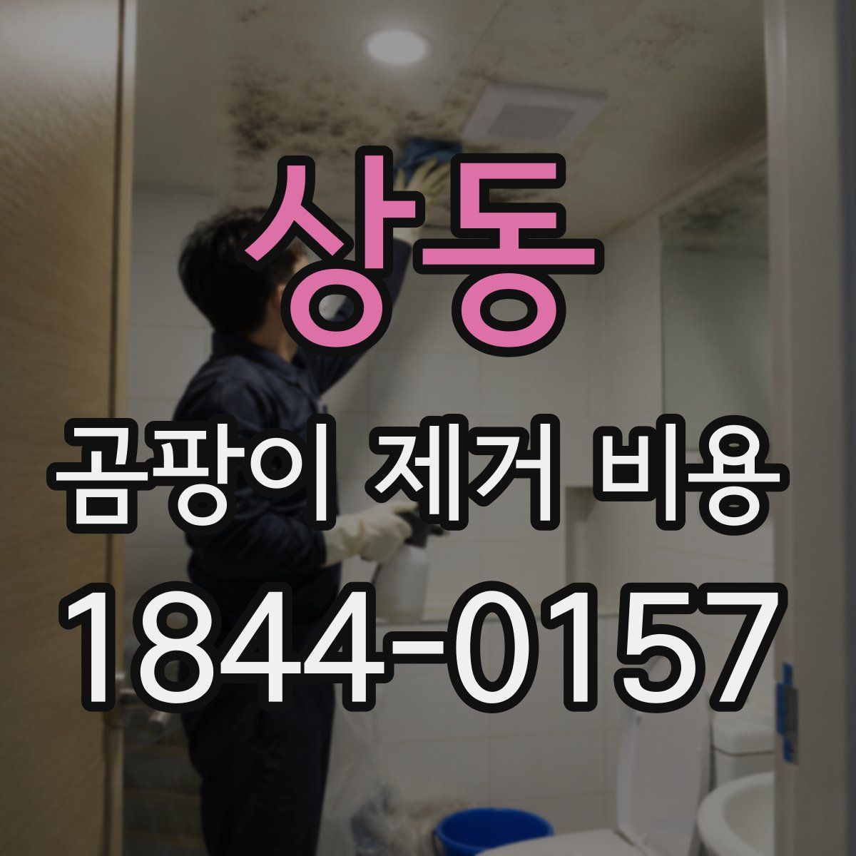 상동 곰팡이 제거 비용