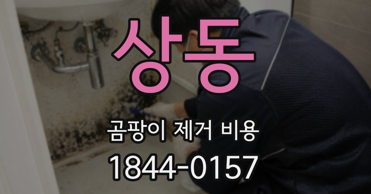 상동 곰팡이 제거 비용