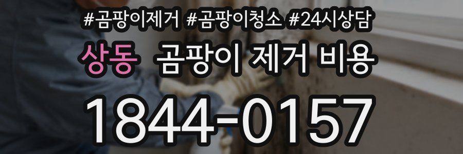 상동 곰팡이 제거 비용