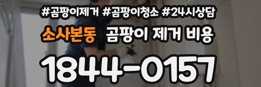 소사본동 곰팡이 제거 비용
