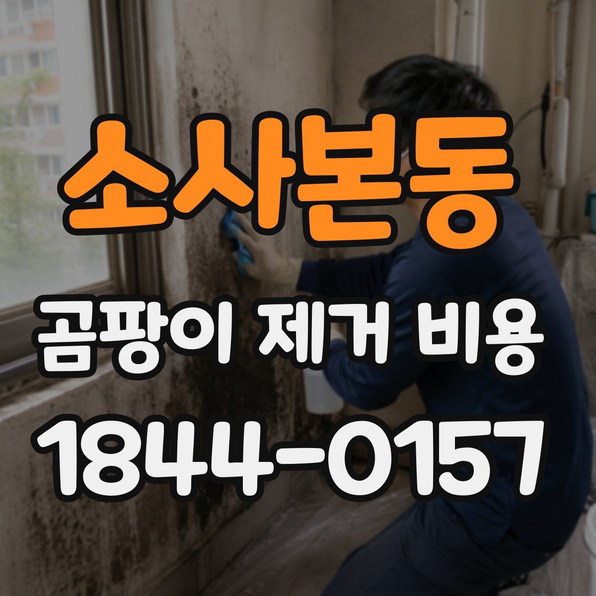 소사본동 곰팡이 제거 비용
