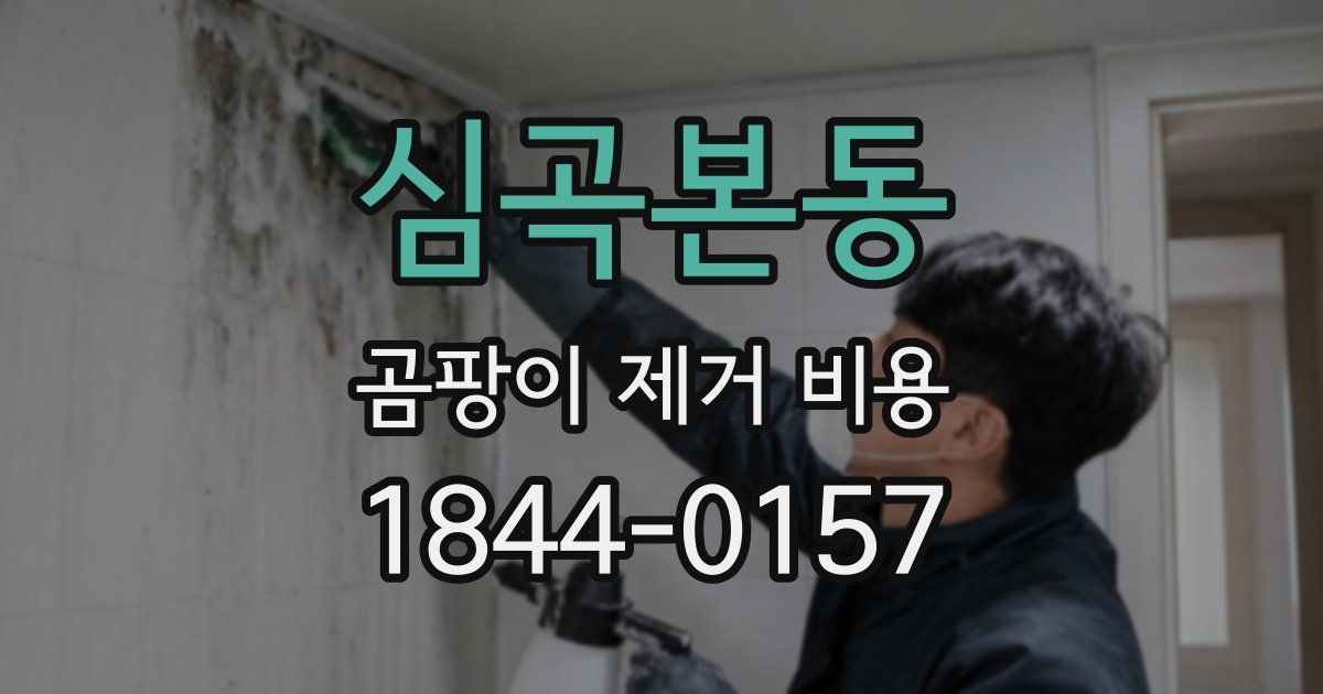 심곡본동 곰팡이 제거 비용