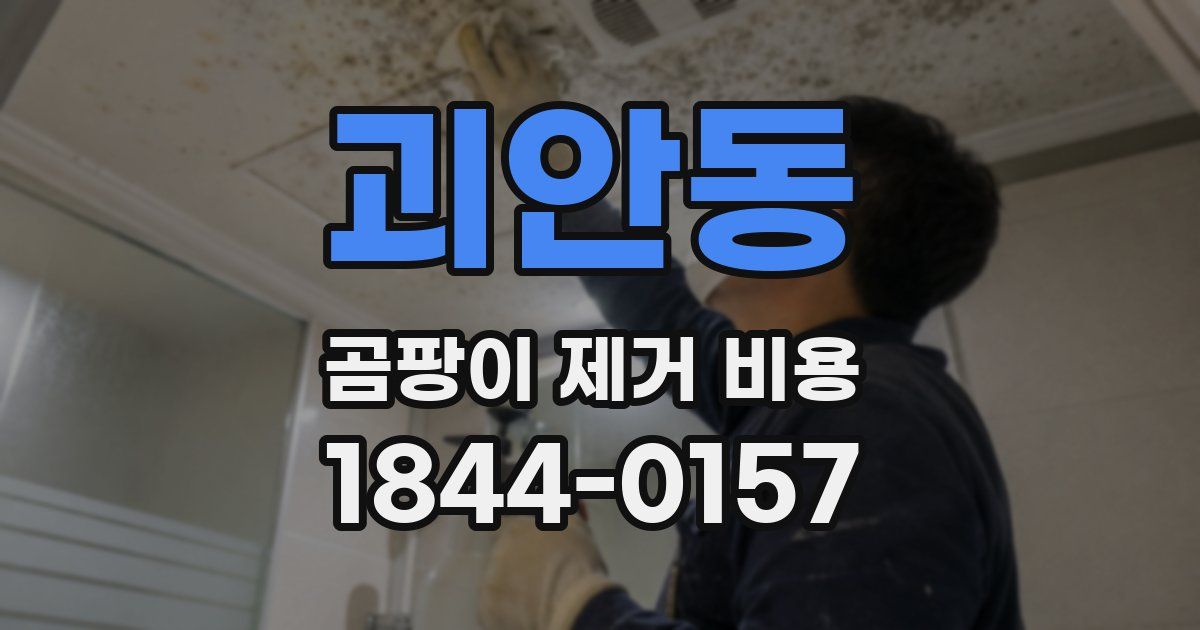 괴안동 곰팡이 제거 비용