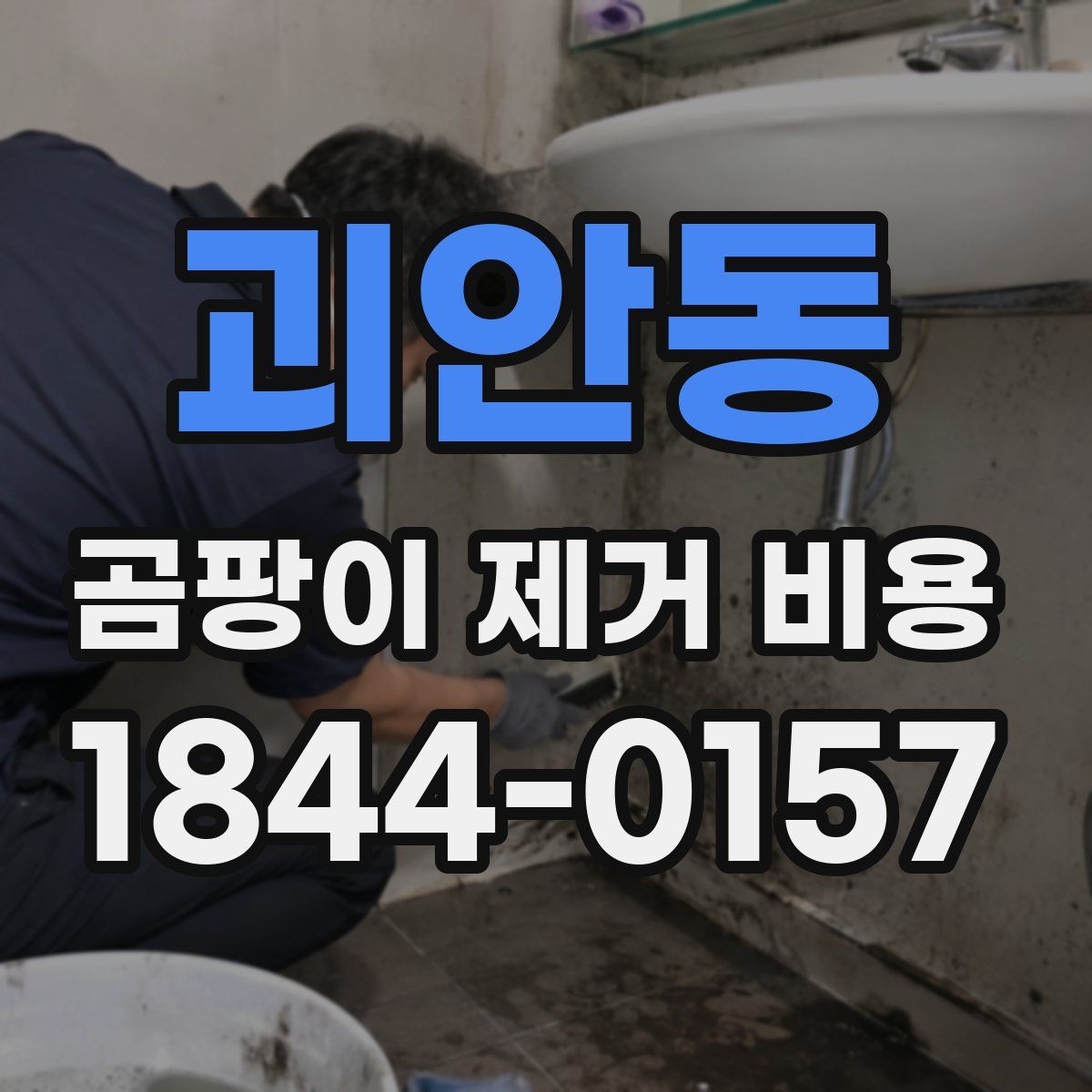 괴안동 곰팡이 제거 비용