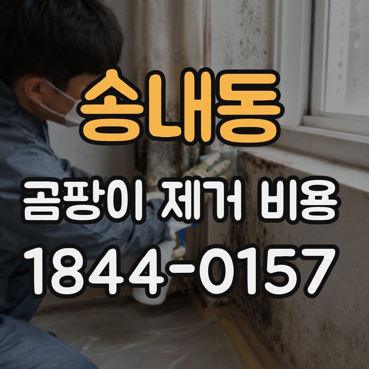 송내동 곰팡이 제거 비용 방수 보수와 청소를 나눠 보는 기준