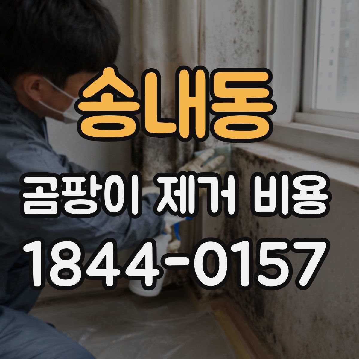 송내동 곰팡이 제거 비용