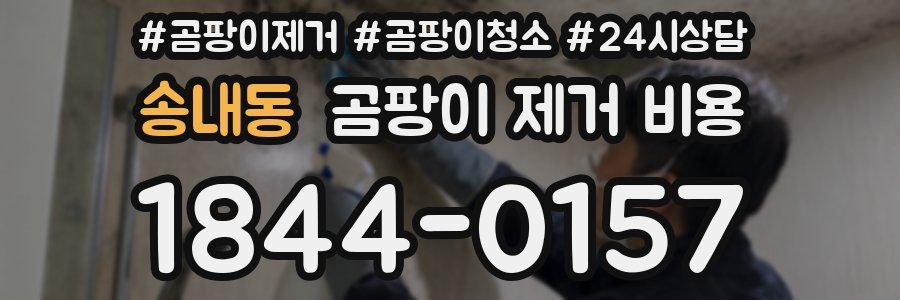 송내동 곰팡이 제거 비용