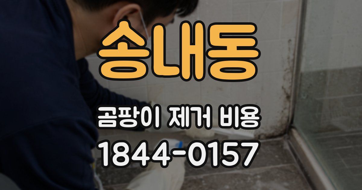 송내동 곰팡이 제거 비용