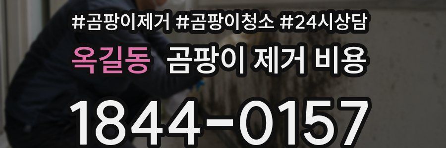 옥길동 곰팡이 제거 비용