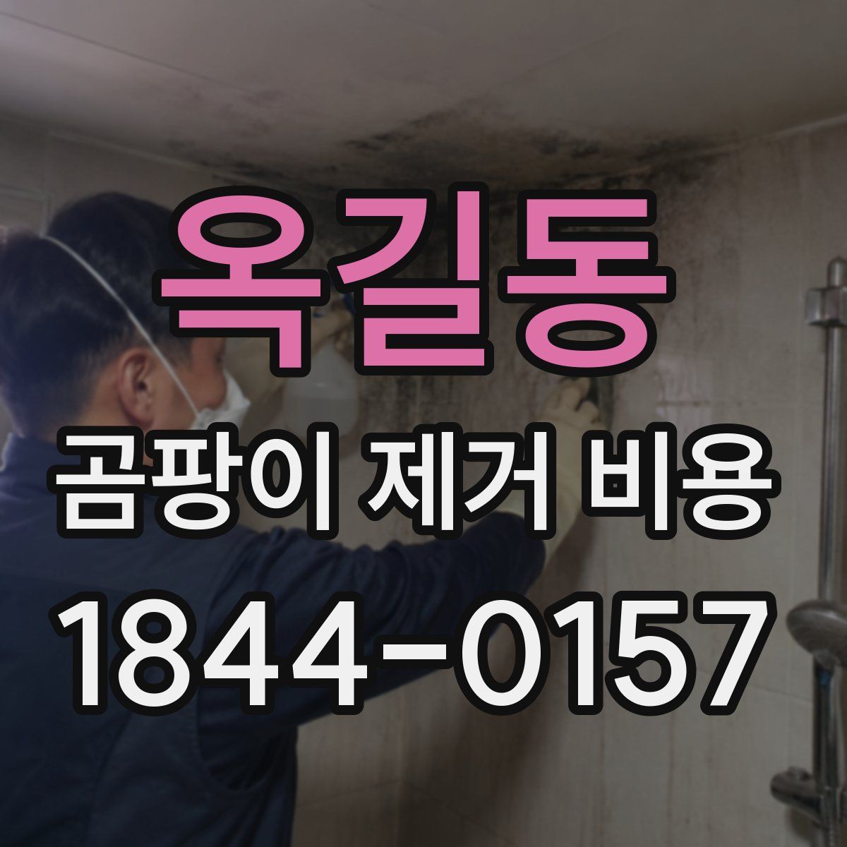 옥길동 곰팡이 제거 비용