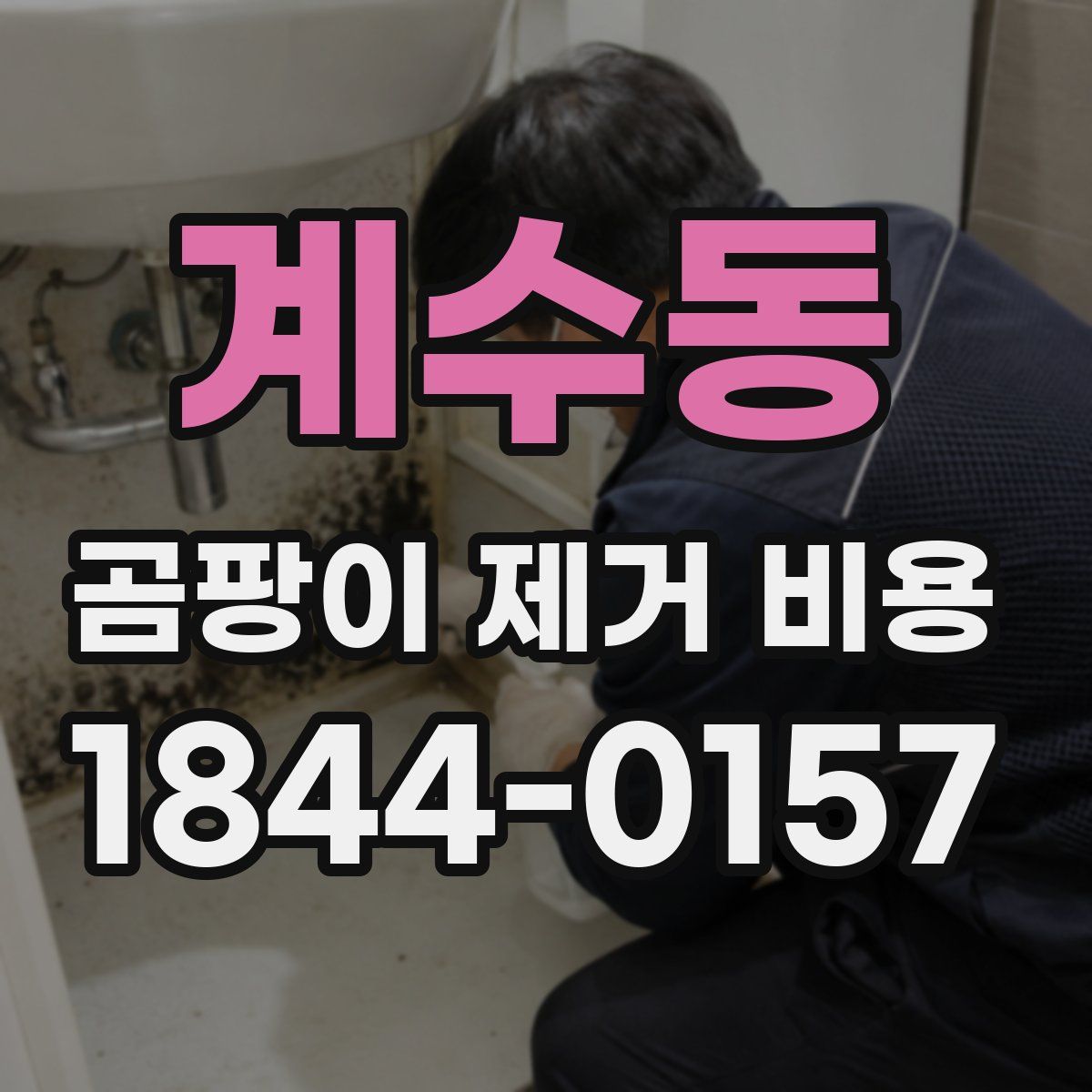 계수동 곰팡이 제거 비용